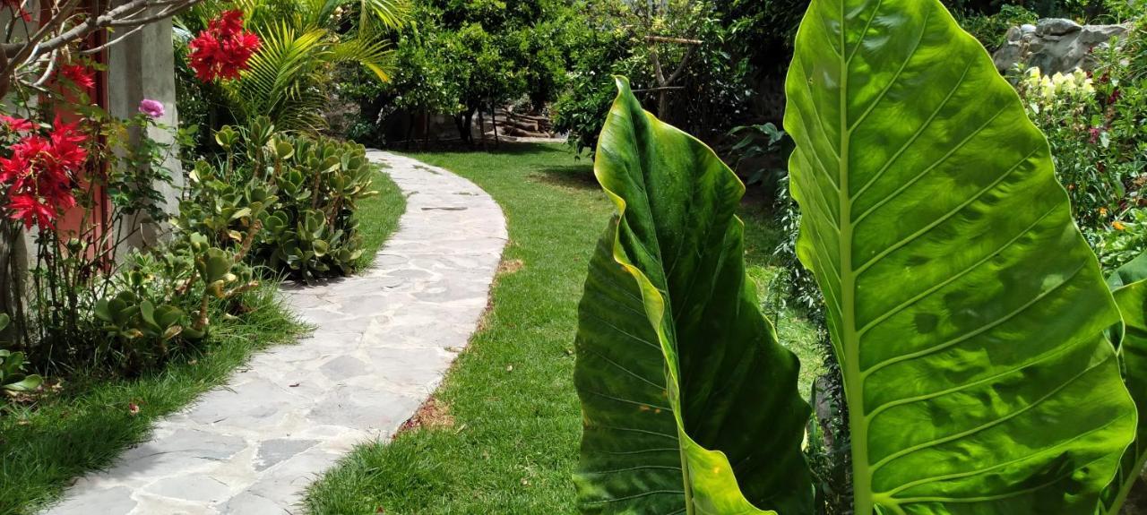 Casa De Virginia Villa Cabanaconde Ngoại thất bức ảnh