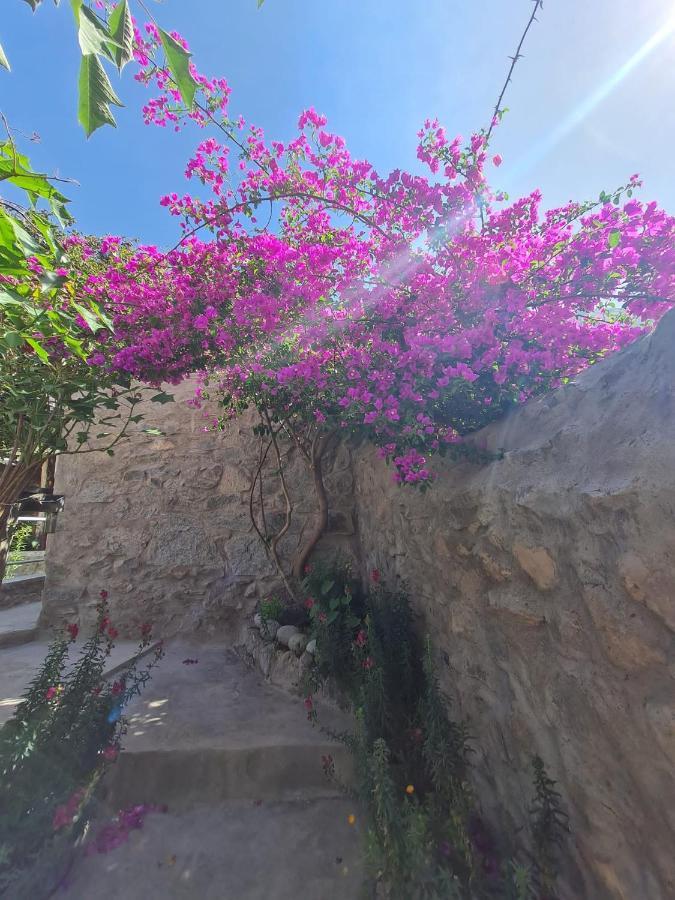 Casa De Virginia Villa Cabanaconde Ngoại thất bức ảnh